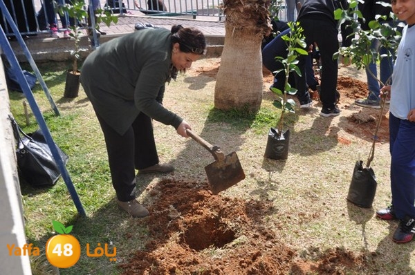 trees shamela 0321 (24).JPG